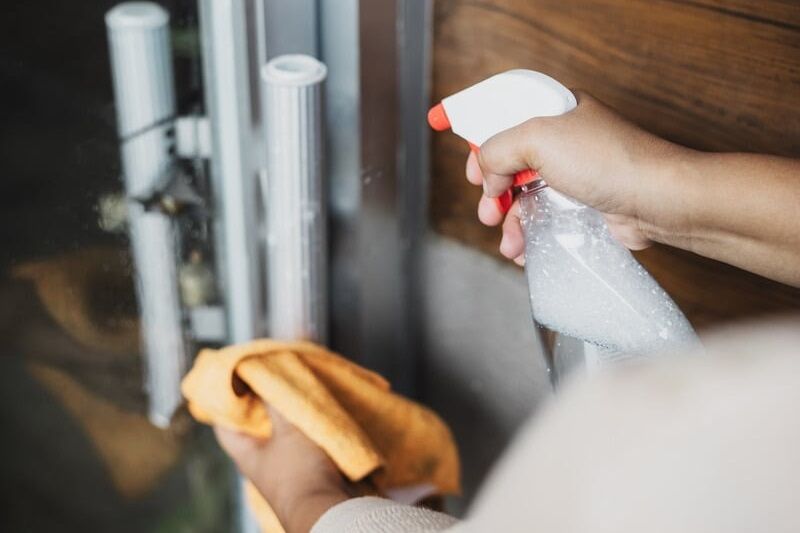 Cleaning and Sanitization Services